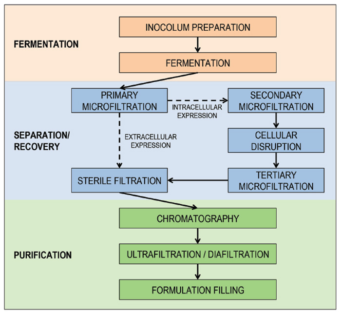 Figure 1. Basic flow diagram of cell fermentation.