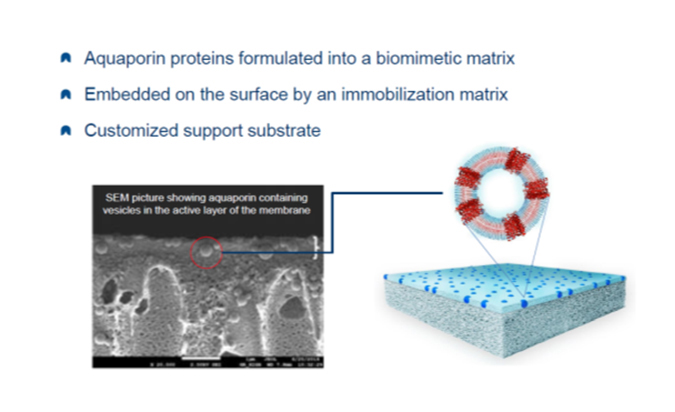 Aquaporin biomimetic matrix.