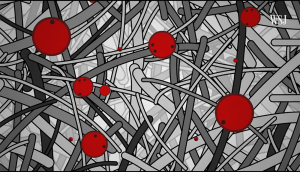 MERV-13 Filter Media Capturing Coronavirus Particles