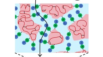 Figure 1. Schematic illustration of a thin film composite (TFC) membrane