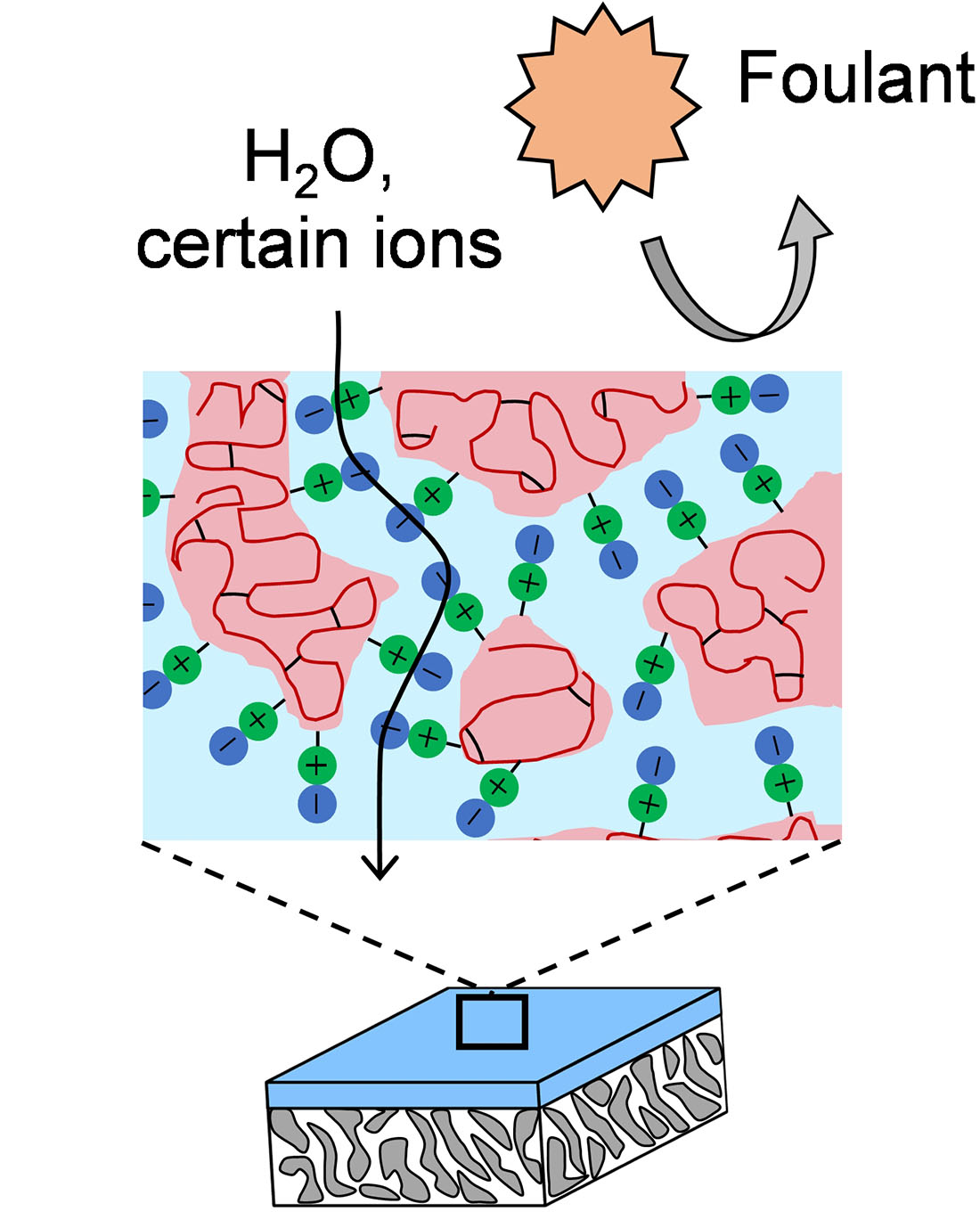 Figure 1. Schematic illustration of a thin film composite (TFC) membrane
