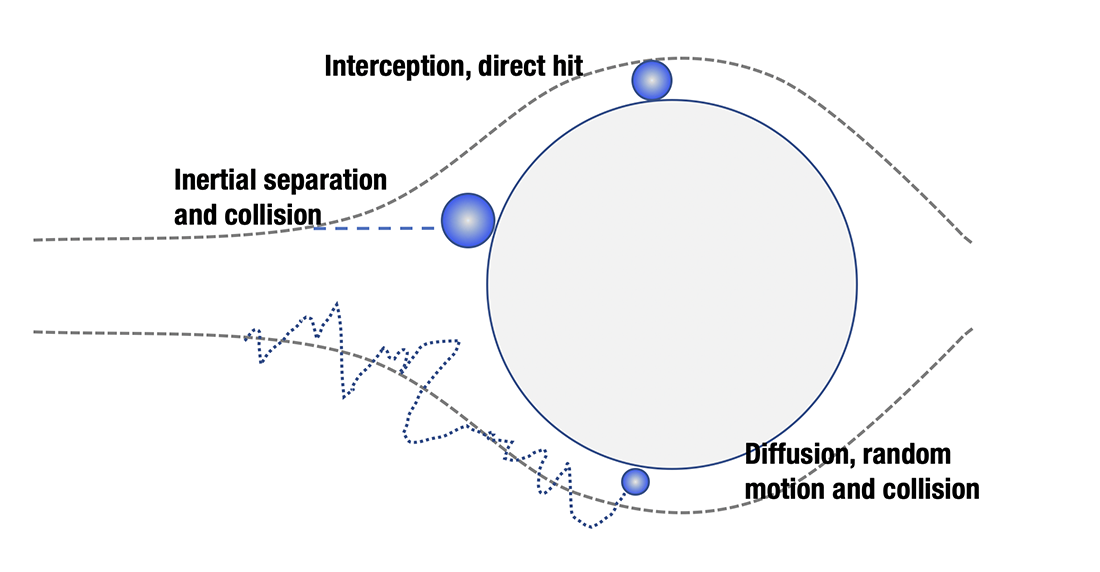 Mechanisms for particle filtration (alternate view)