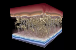 3D reconstructions of the nanoscale membrane