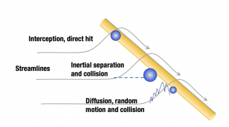 Mechanisms for particle filtration