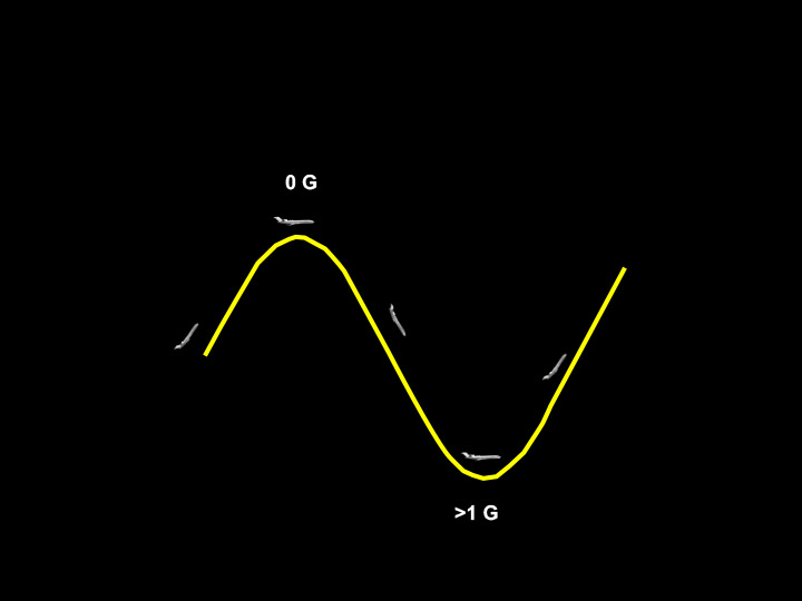 Figure 3. Parabolic flight path to simulate microgravity