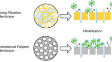 Living filtration membrane versus commercial polymer membrane