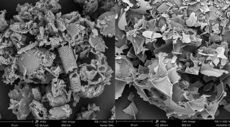 Figure 5. Marine diatomite and expanded milled perlite