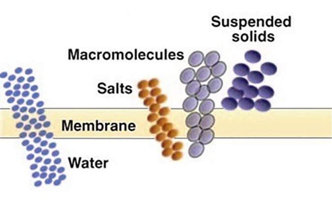 Microfiltration