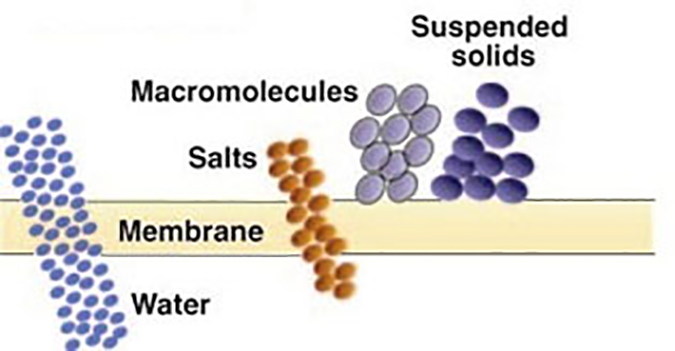 Ultrafiltration