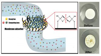 Schematic of a U(VI) selective membrane adsorber