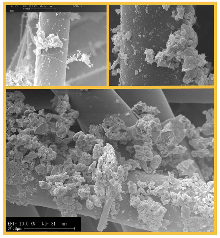 Figure 3: Examples of dendrites and dust cake formations on filter media. [11]