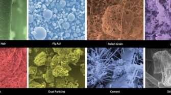 Figure 1: Scanning electron microscope images of various airborne pollutants.