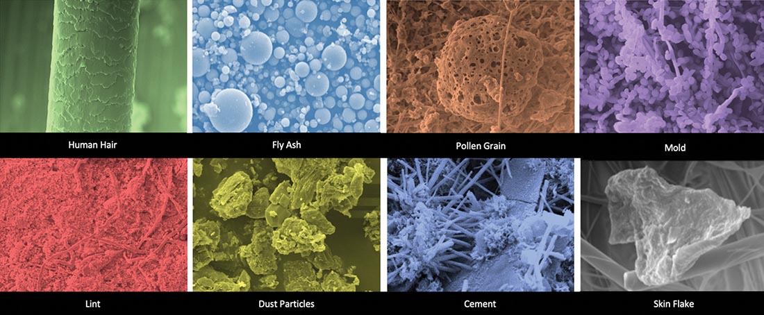 Figure 1: Scanning electron microscope images of various airborne pollutants.