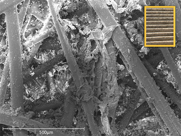 Figure 3: Scanning electron microscopic image of a typical cabin air filter with a naked-eye view in the box.