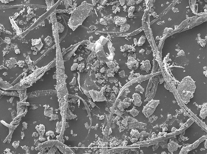 Figure 9: Dust and other particles (top) recovered from a cabin air filter (bottom).