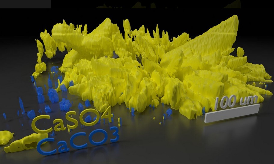 Observed 3D volume calcium sulfate and calcium bicarbonate crystal growth (Credit: Lange Simmons)