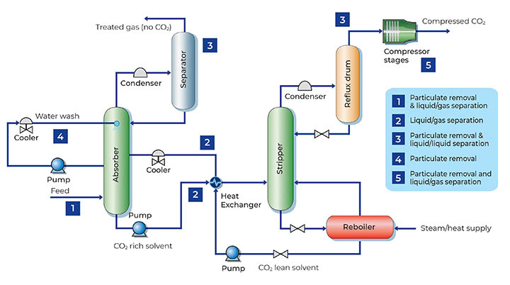 Pall flow chart