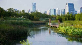 Houtan Park in Shanghai catalyzed the thinking behind China’s “Sponge City” program. Photo courtesy of Turenscape/Painjet
