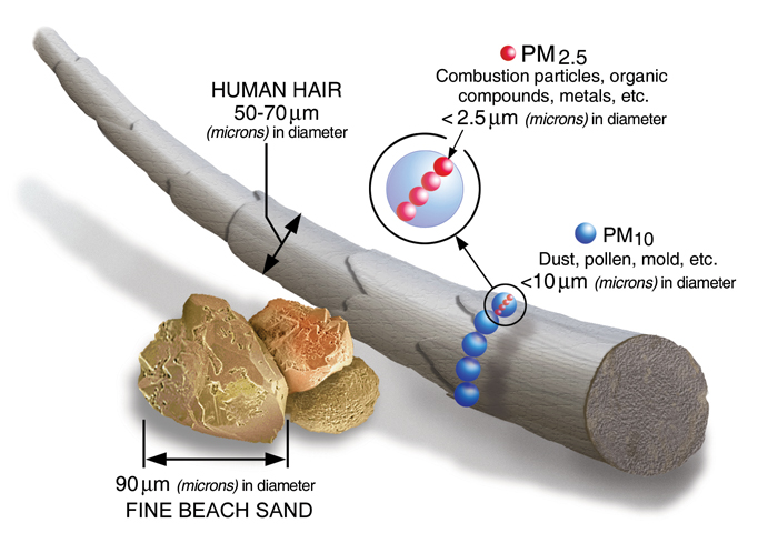 Particulate matter PM ratings